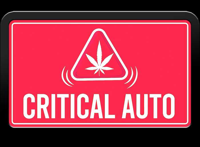 Original Auto Critical - Pack 3