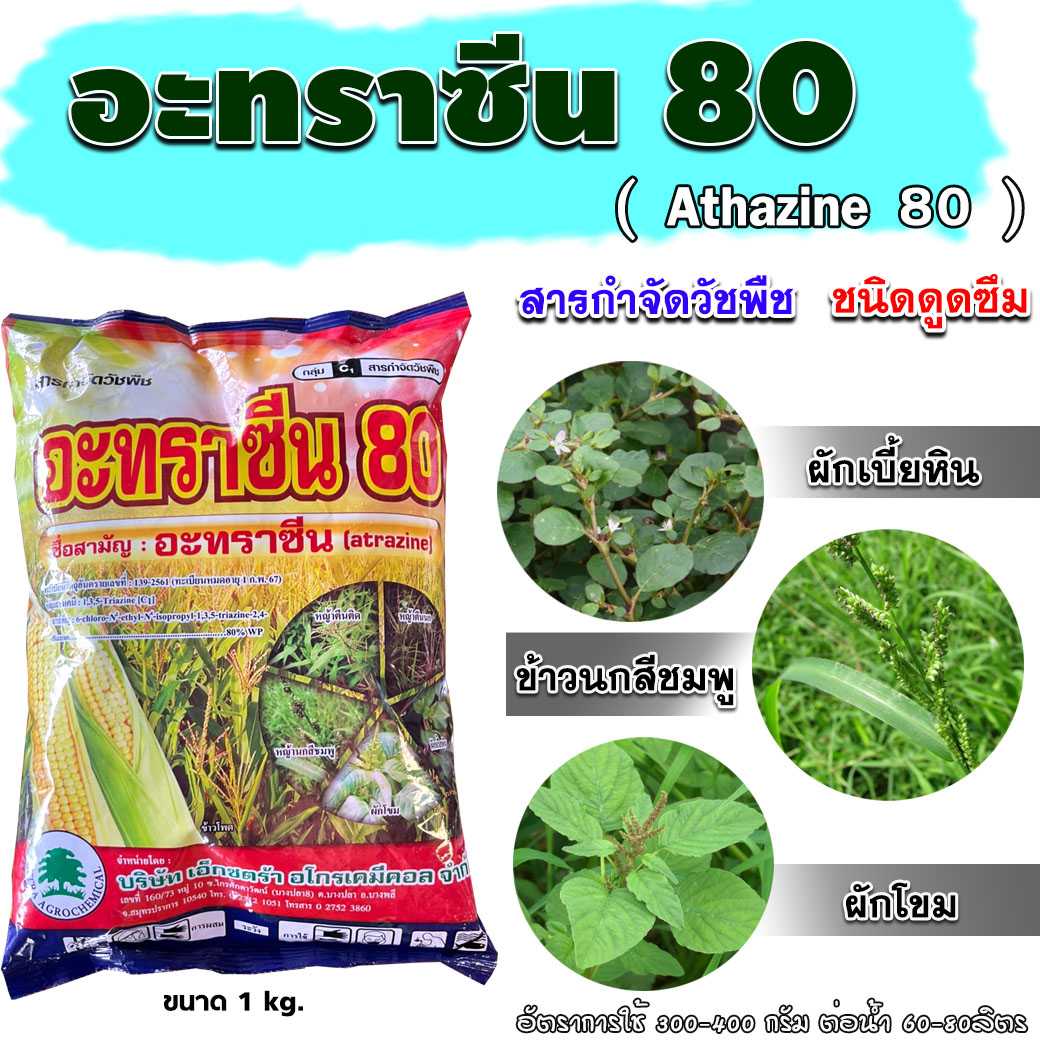 อะทราซีน80 (ชนิดผง) สารคุม กำจัดหญ้าวัชพืช