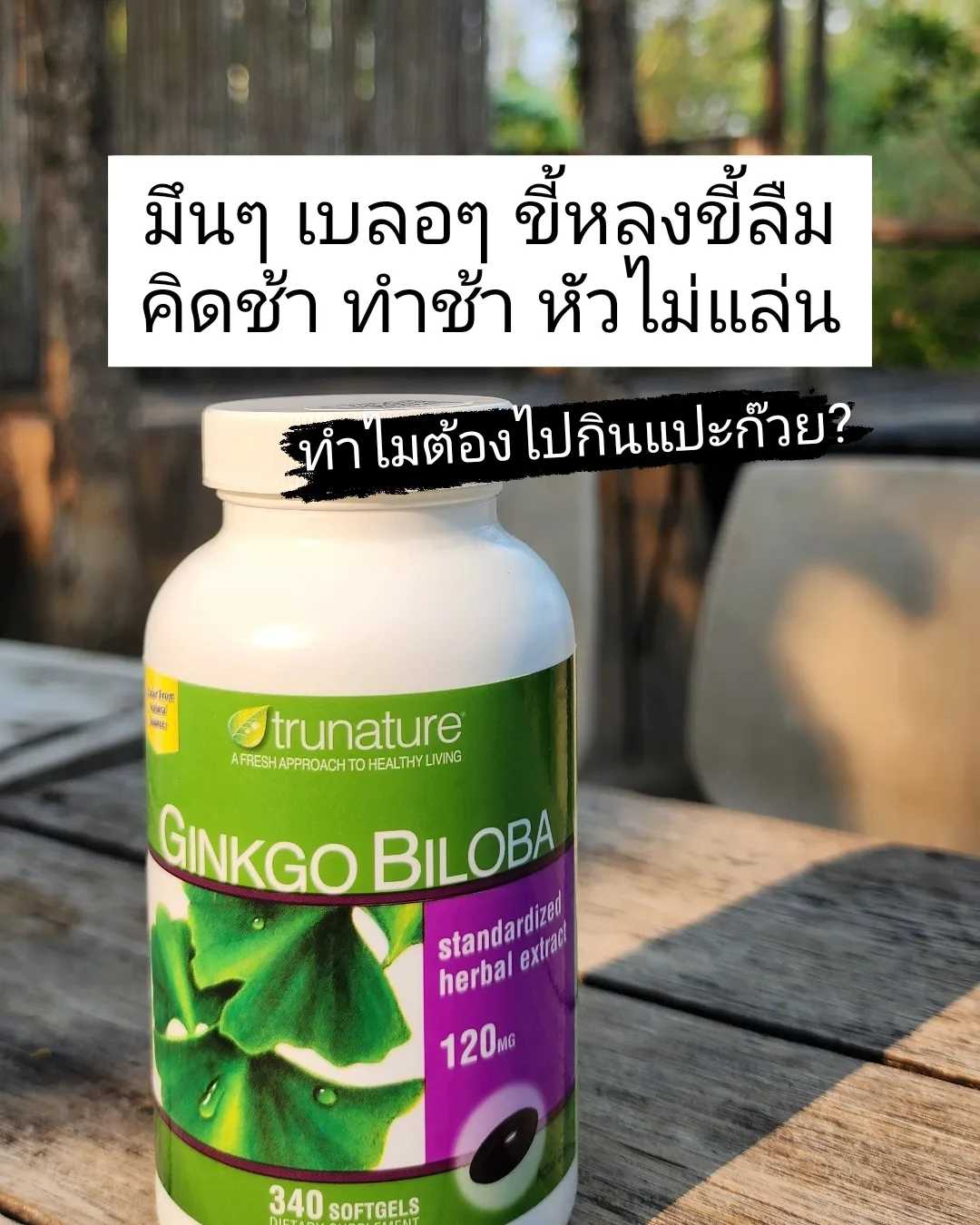 กิงโกะ บำรุง สมอง Ginkgo billoba จาก USA 340 softgel