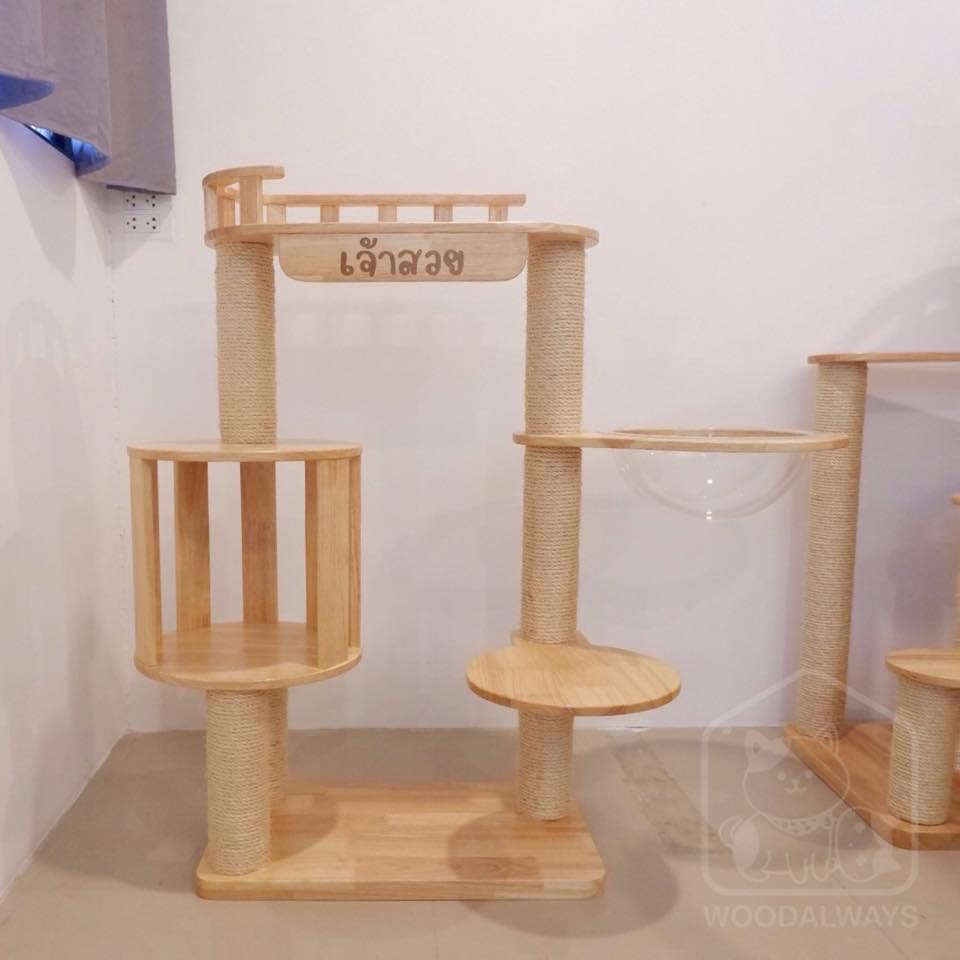 คอนโดแมว Catcondo-01