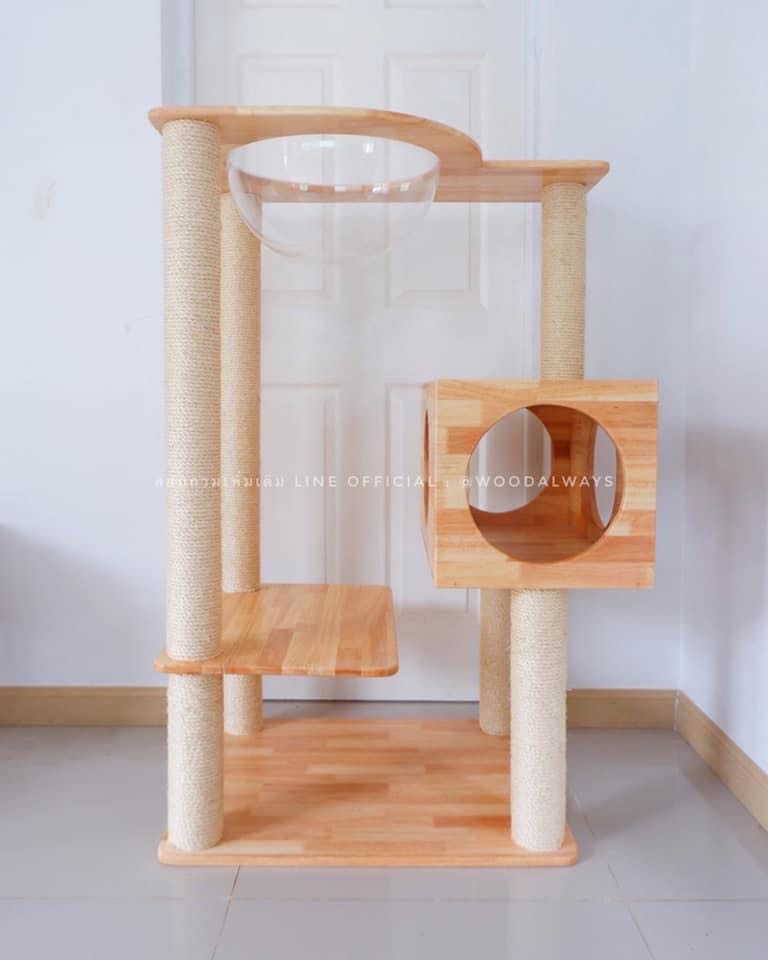 คอนโดแมว | Catcondo-05