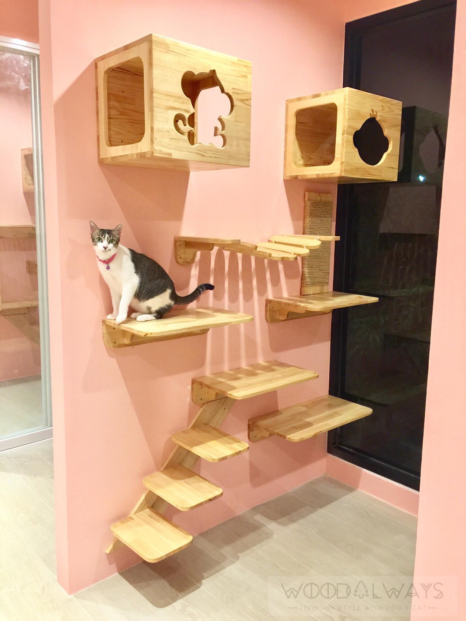 ชุดเฟอร์นิเจอร์แมวติดผนัง | Catwall-01