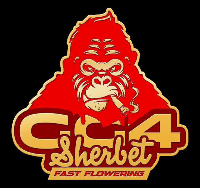 GG4 Sherbet FF - Pack 2