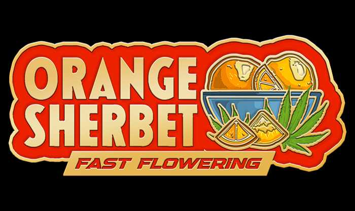Orange Sherbet FF- Pack 1