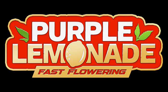 Purple Lemonade FF - Pack 2