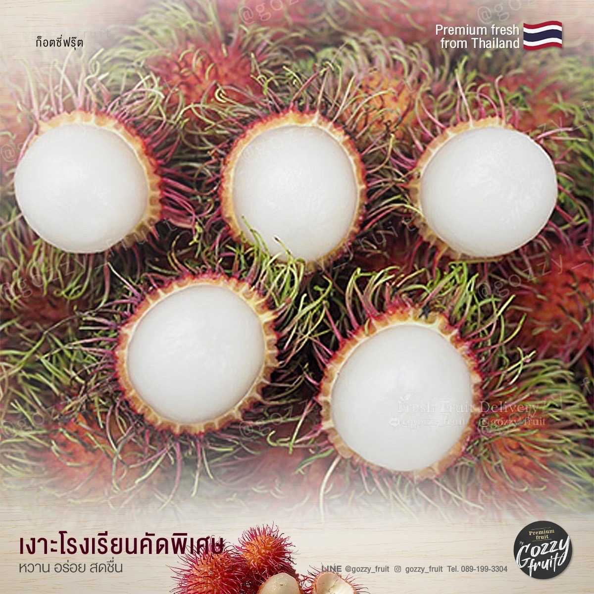 เงาะโรงเรียนคัดพิเศษ