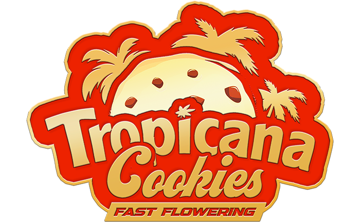 Tropicana Cookies FF - Pack 3