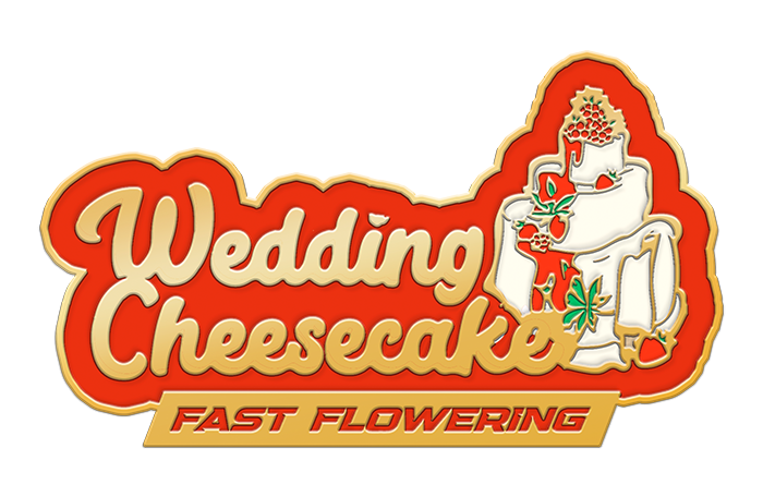 Wedding Cheesecake FF - Pack 2