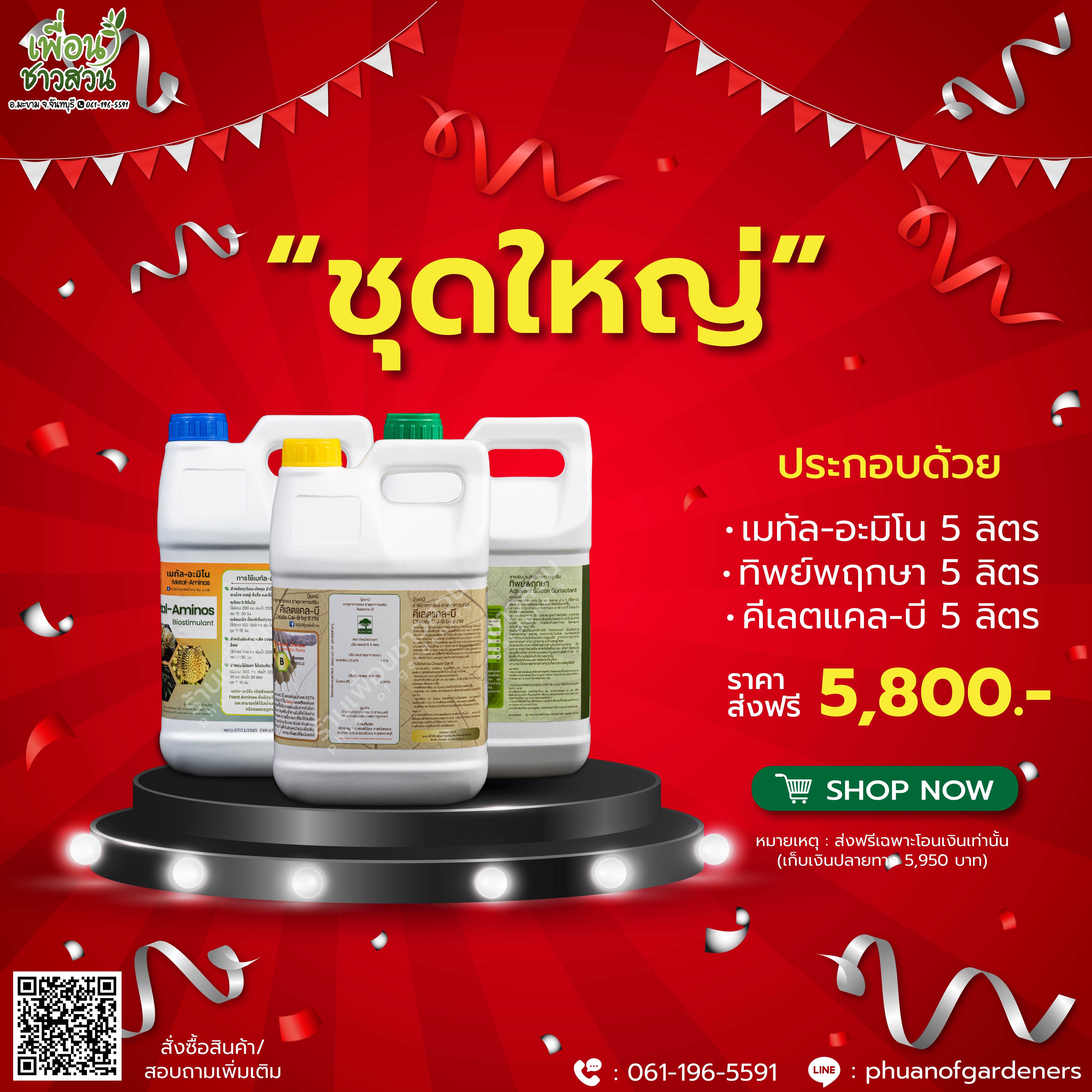 ชุดใหญ่