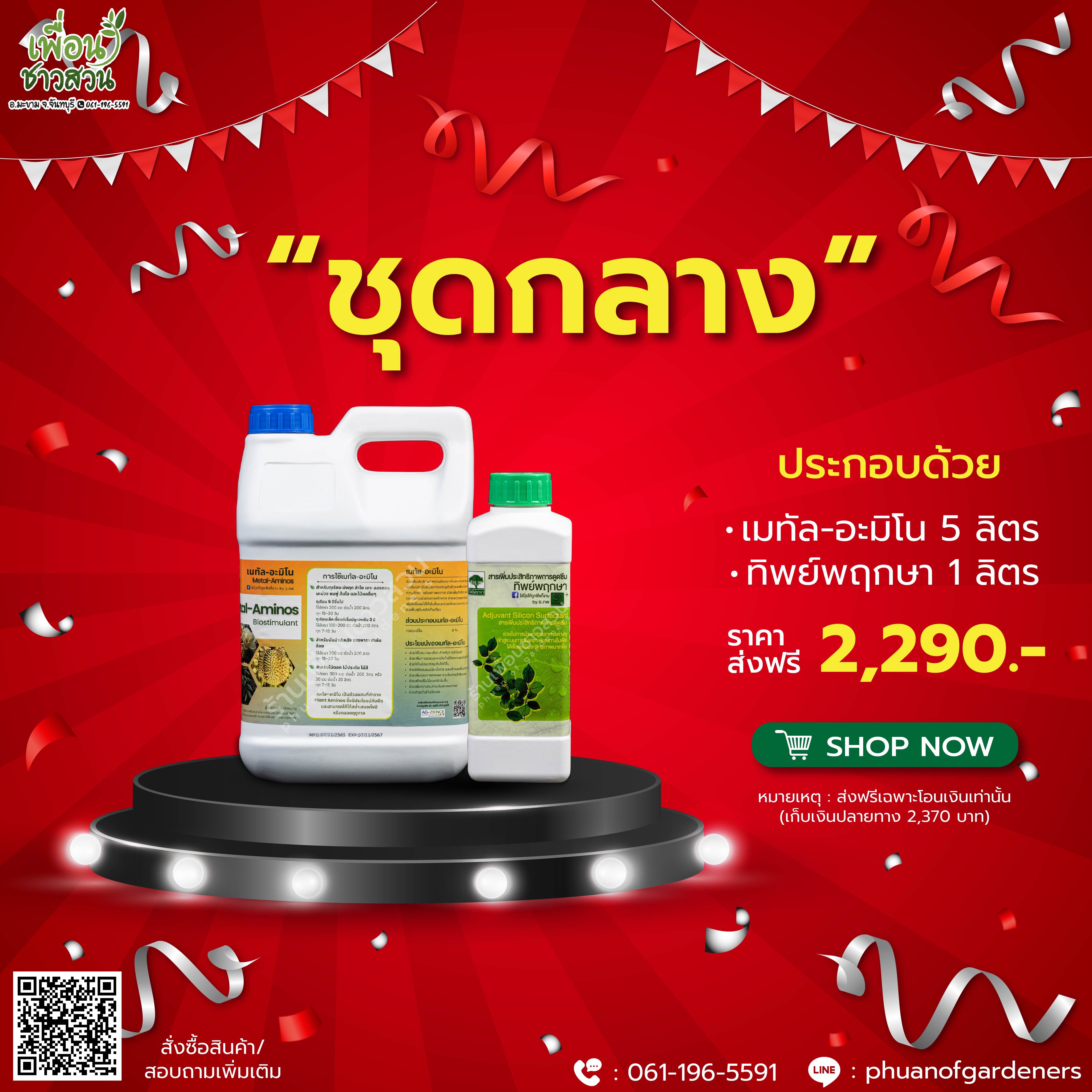 ชุดกลาง