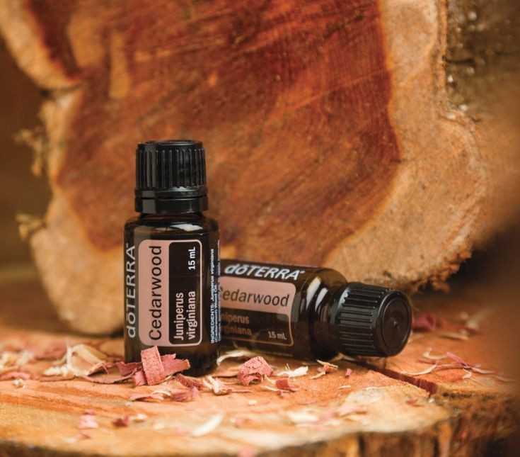 Cedarwood
