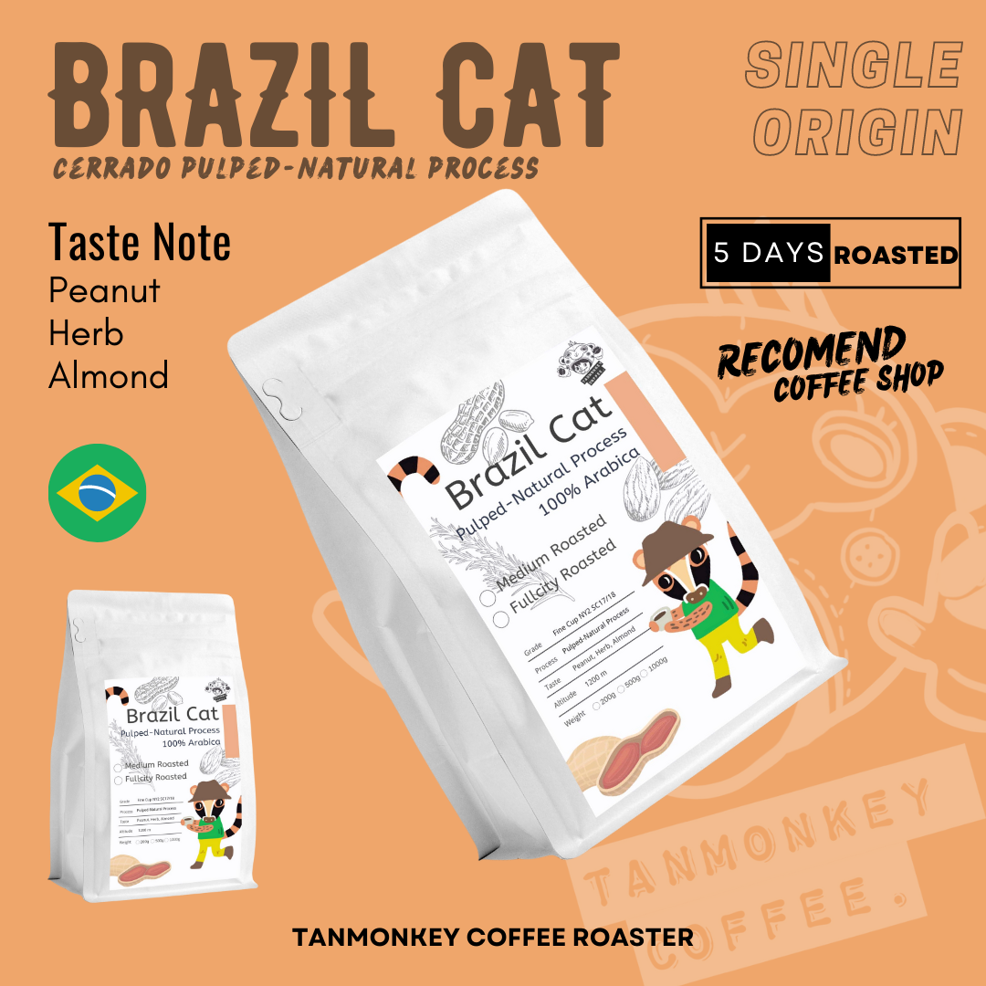 Brazil Cerrado Coffee Pulped-Natural เมล็ดกาแฟคั่ว คั่วกลางเข้ม ( Full City )