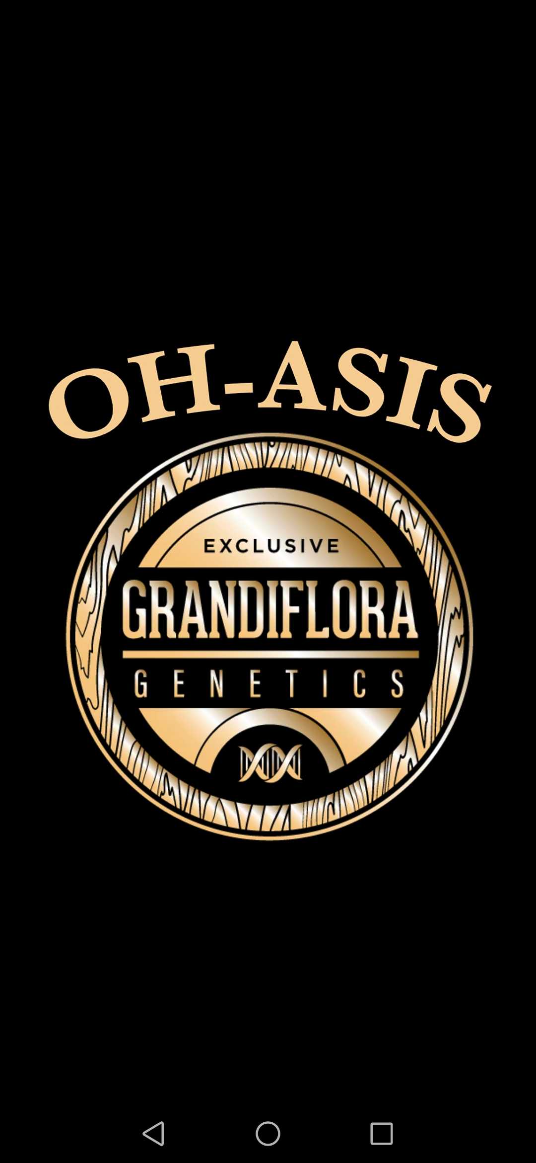 Grandiflora Genetics Oh-As-is Regular Photoperiod 