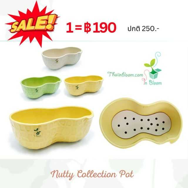 กระถางต้นไม้เซรามิค นัตตี้ คอลเลคชั่น - สีเหลือง