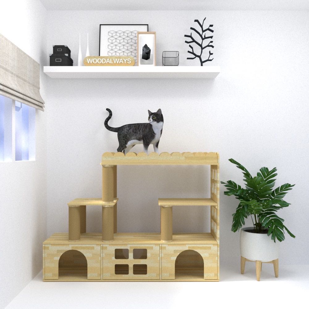 คอนโดแมว | Catcondo-08