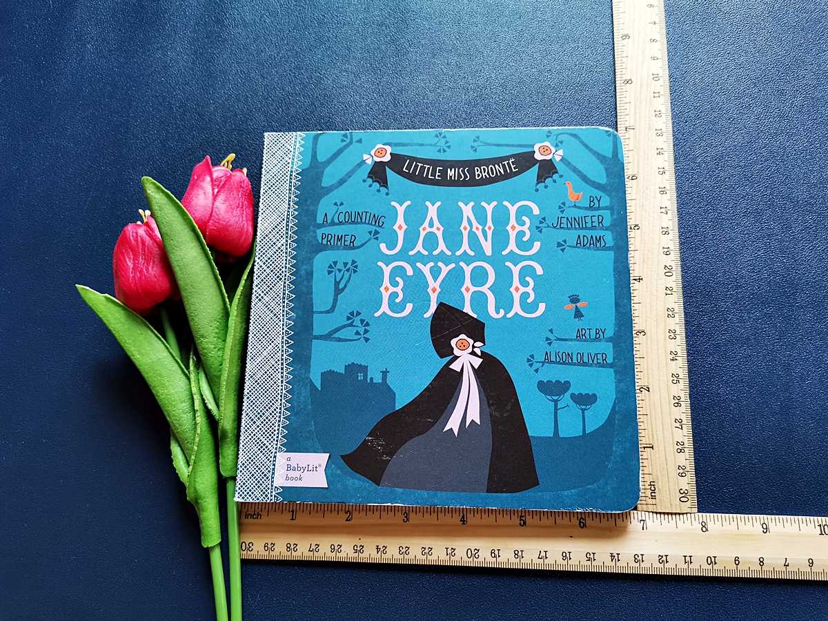 บอร์ดบุ๊คสอนนับเลข║Jane Eyre║★มือสอง  ★ขนาดกลาง📌#หน้าสุดท้ายมีรอยย่นเล็กน้อย