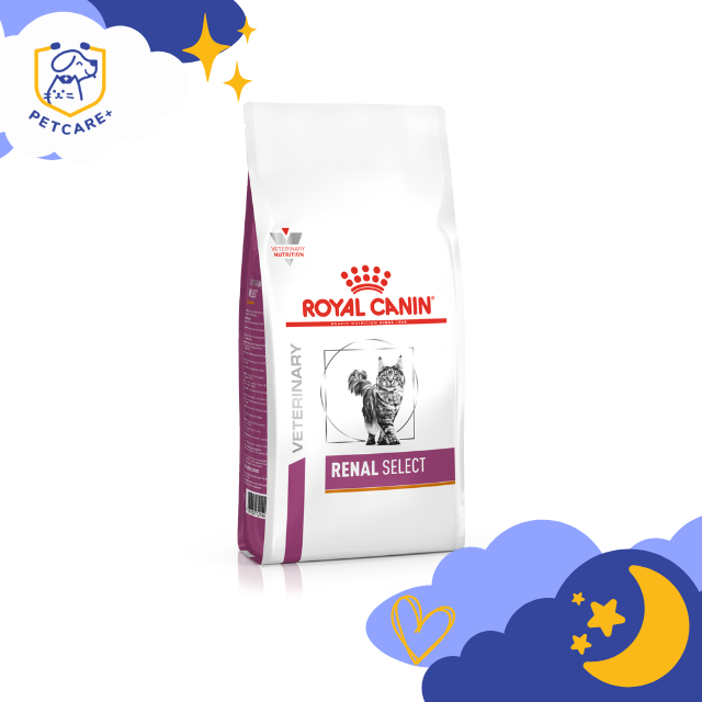 Royal Canin Cat RENAL SELECT อาหารเม็ดแมวโรคไต 2 kg