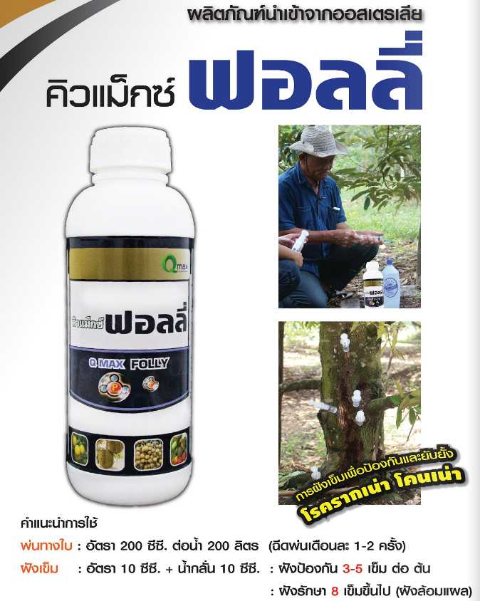 คิวแมกซ์ ฟอลลี่ สำหรับฝังเข็ม