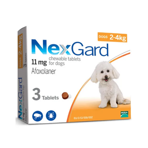 Nexgard ยากำจัดเห็บหมัด ชนิดเม็ด 2-4กก.