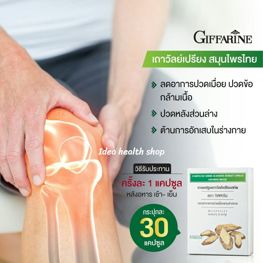 เถาวัลย์เปรียง บรรเทาอาการปวดเมื่อย ปวดข้อ กระดูก