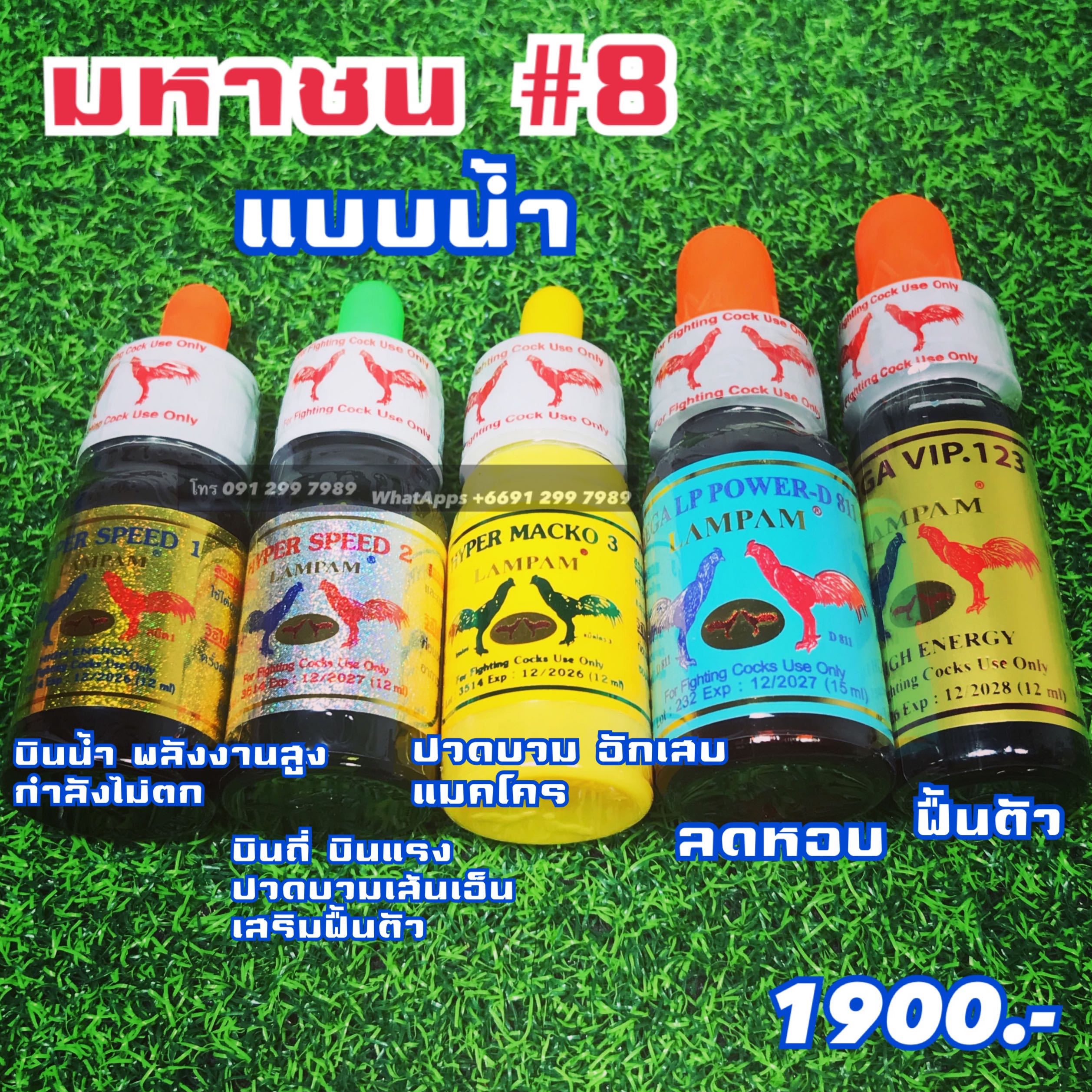 ชุดมหาชน8