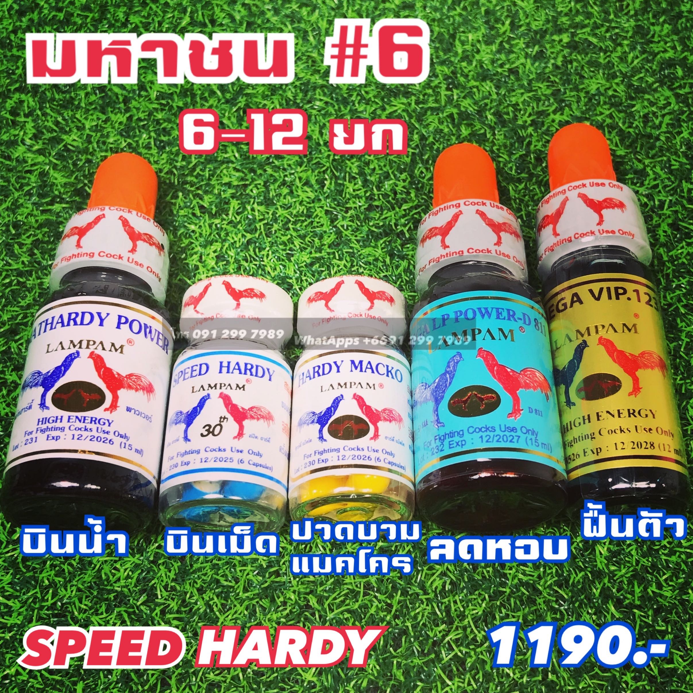 ชุดมหาชน6