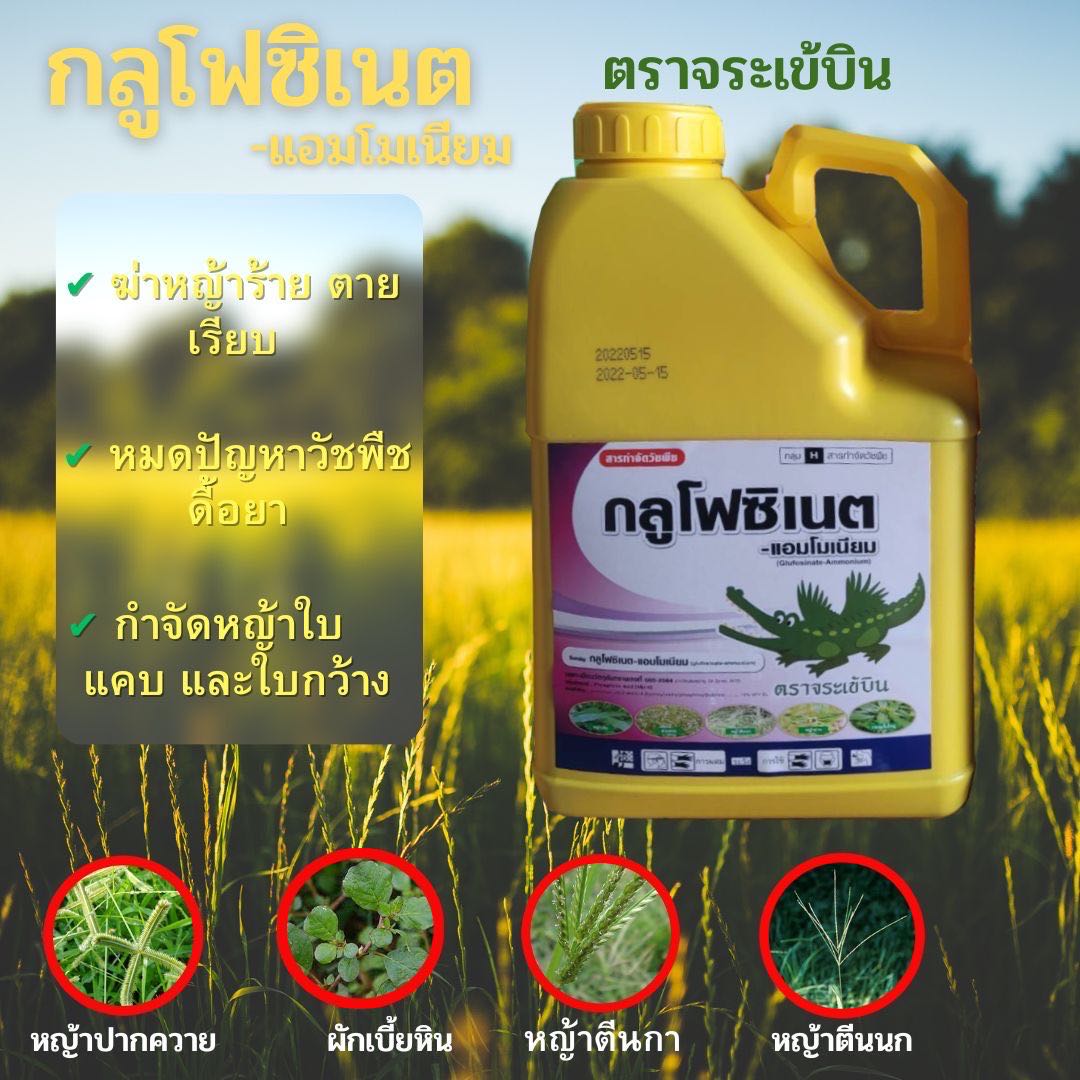 กลูโฟซิเนต-แอมโมเนียม ขนาด 4ลิตร ตราจระเข้บิน กำจัดได้ทั้งใบกว้าง และ ใบแคบ อ้อย มันสำปะหรั่ง