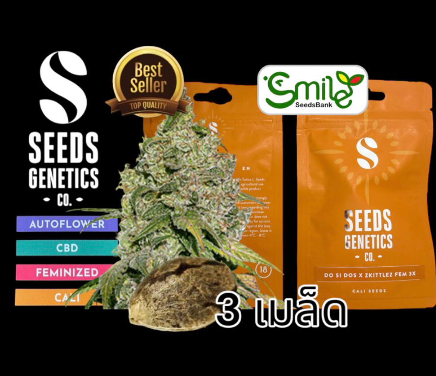 Do si Dos x Zkittlez Fem -Pack 3