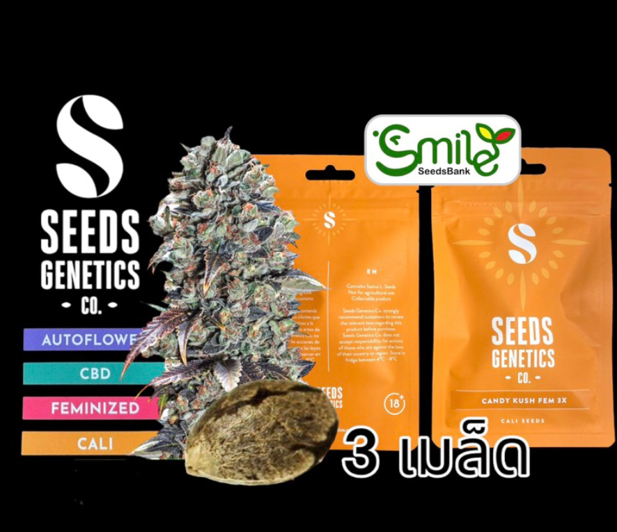 Candy Kushh Fem - Pack 3