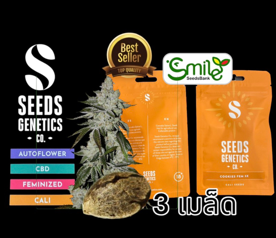 Cookies Fem - Pack 3