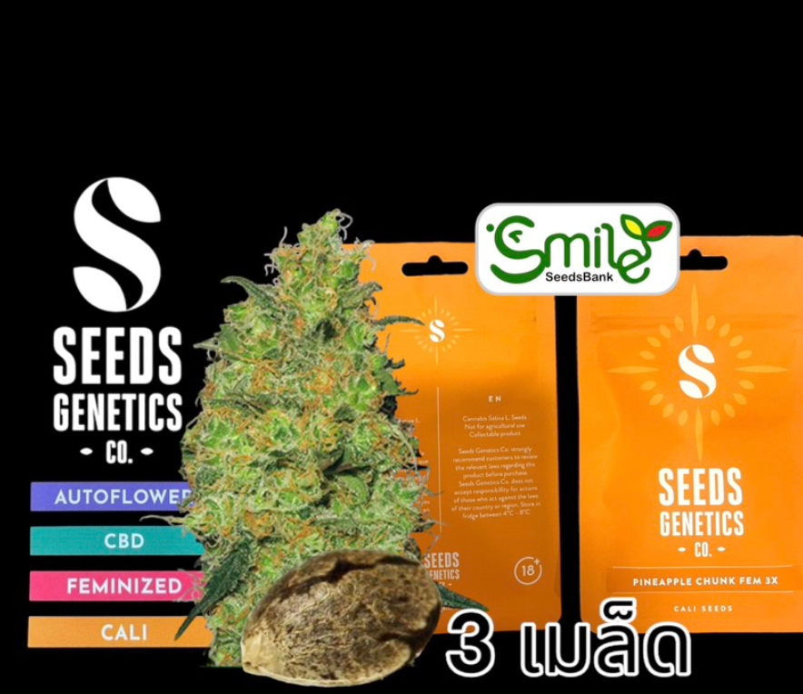 Pineapple Chunk Fem - Pack 3