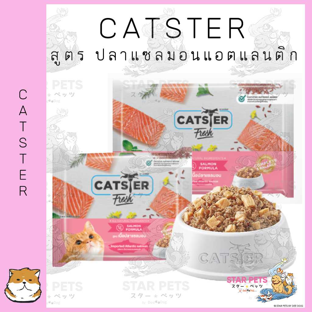 CATSTER FRESH   สูตรเนื้อปลาแซลมอน 🛒