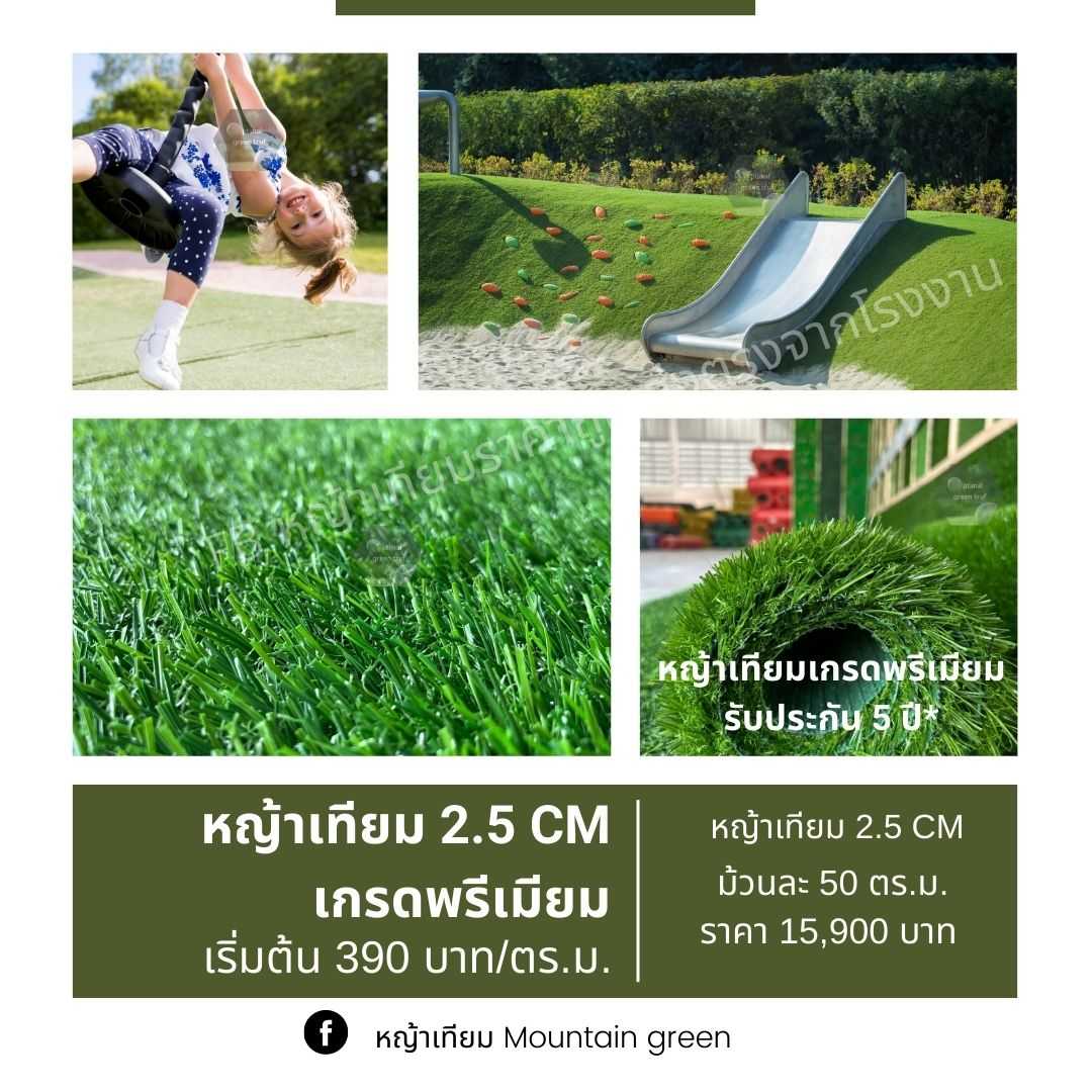 หญ้าเทียม 2.5 cm.ราคา 15,900 บาท ( รับประกัน 5 ปี )