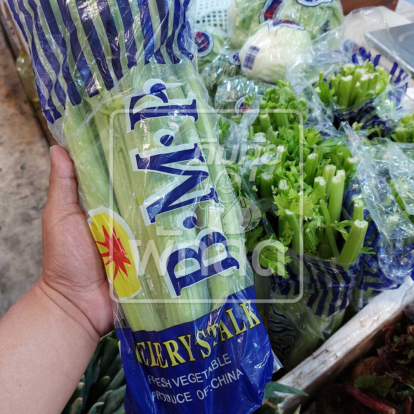 เซเลอรี่ Celery  ขึ้นฉ่ายฝรั่ง ถุงละ