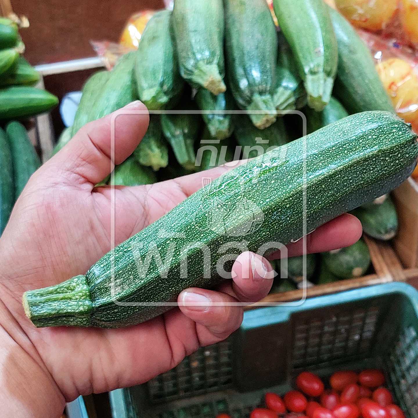 ซูกินี Zucchini