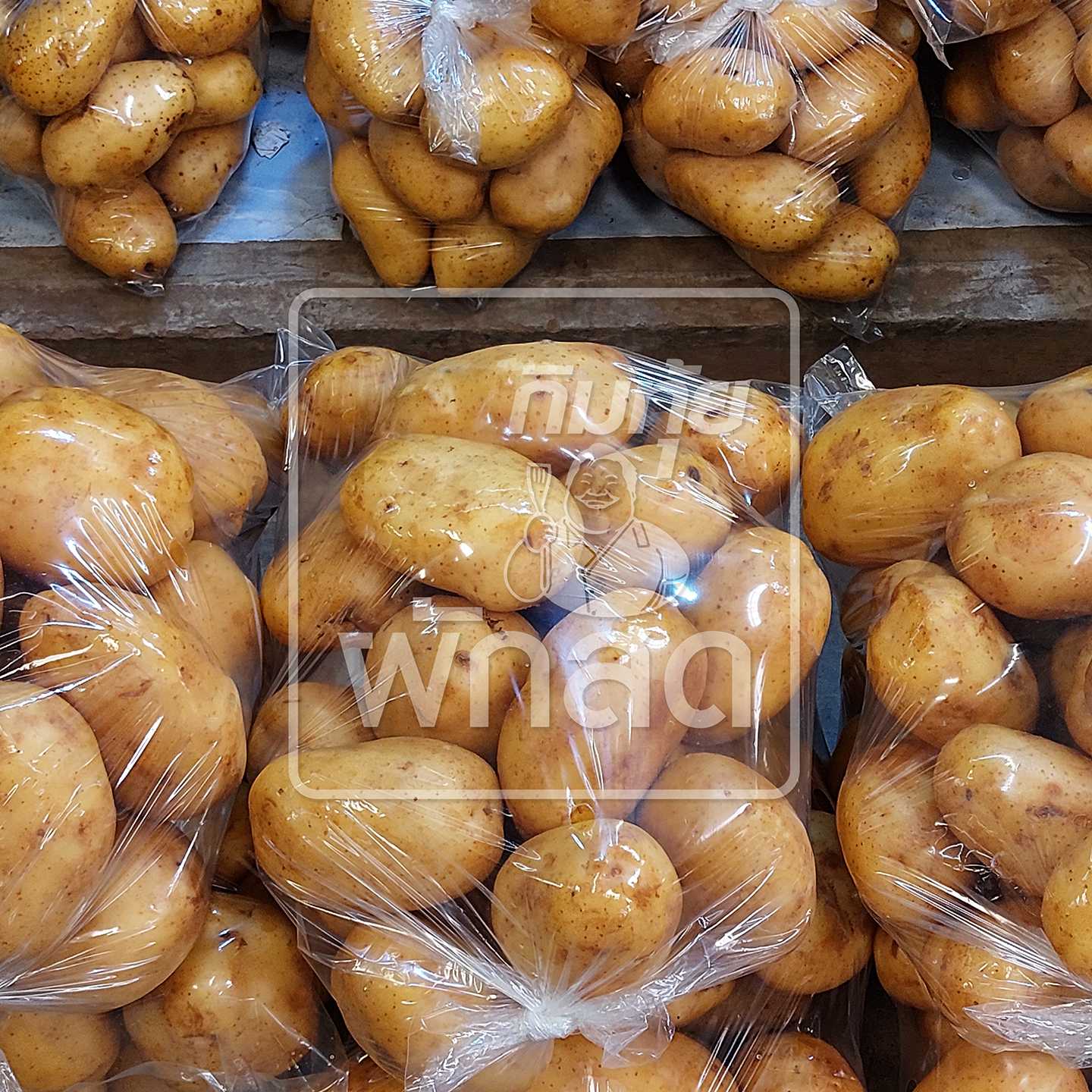 มันฝรั่ง คัดเกรด ลูกใหญ่ 1 กิโลกรัม Potato