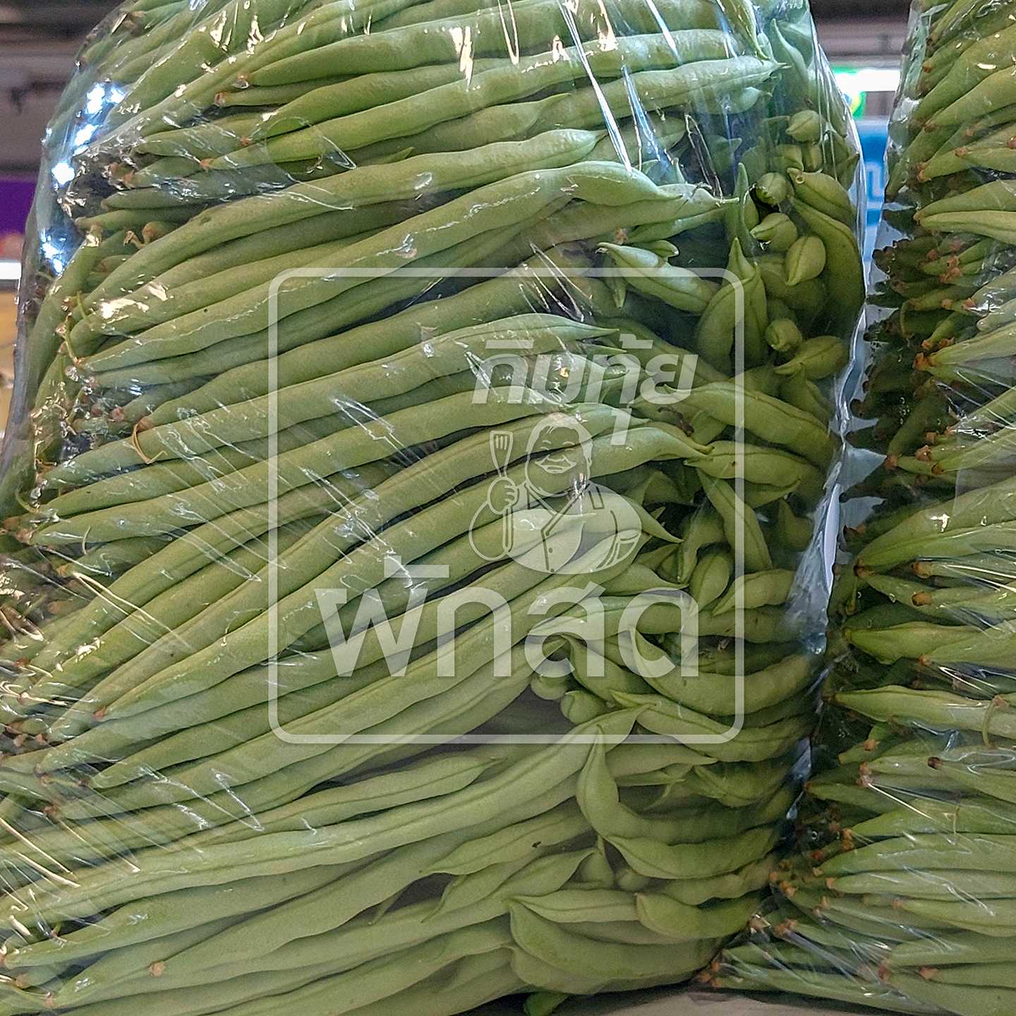 ถั่วแขก Bush bean