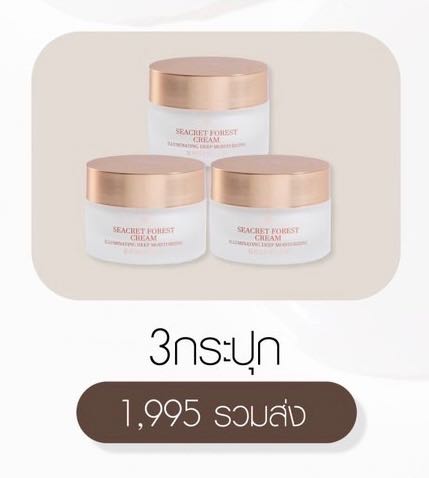 Seacret Forest Cream 3 กระปุก