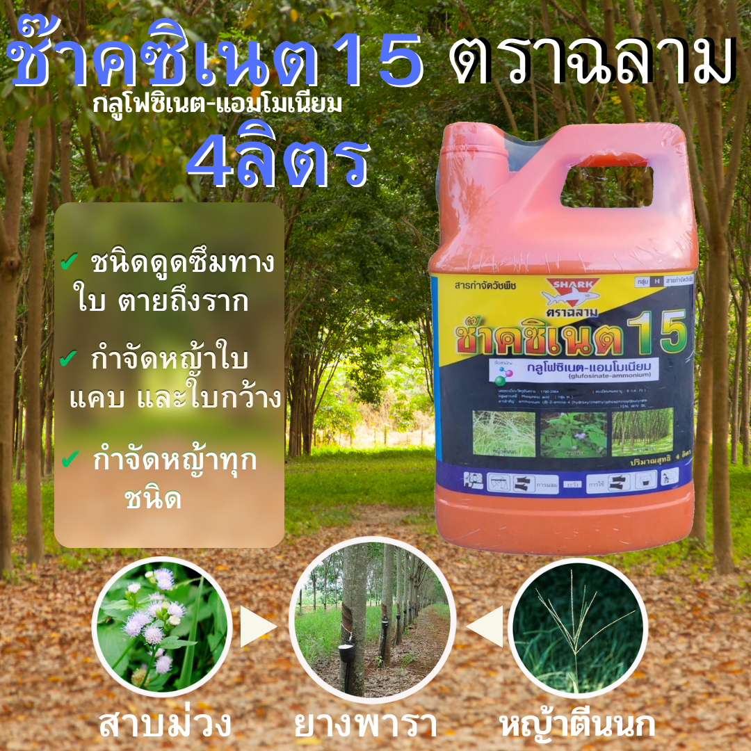 ช๊าคซิเนต15 กลูโฟซิเนต-แอมโมเนียม 4ลิตร กำจัดวัชพืชประเภทใบแคบ/ใบกว้าง