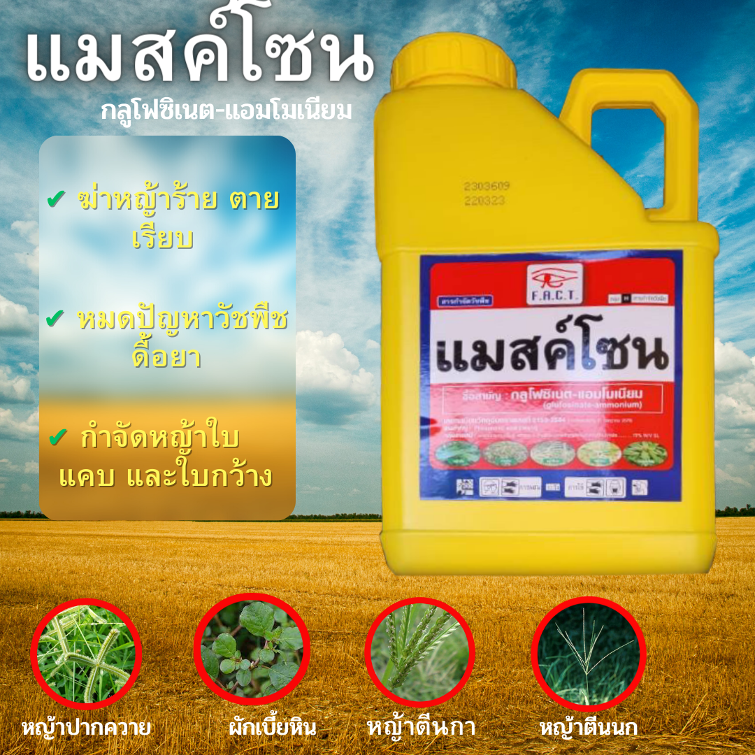แมสค์ โซน กลูโฟซิเนต-แอมโมเนียม 4 ลิตร/แกลลอน กำจัดได้ทั้งหญ้าใบแคบ ใบกว้าง อ้อย มันสัมปะหรั่ง