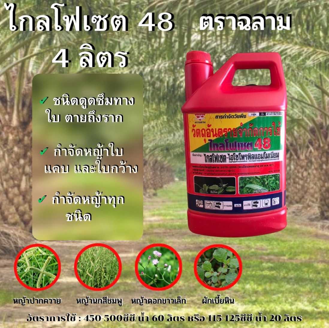 ไกลโฟเซต48 ตราฉลาม 4ลิตร ใช้หลังวัชพืชงอก ในข้าวโพดหวาน มันสัมปะหรั่ง อ้อย กำจัดวัชพืชใบกว้างใบแคบ
