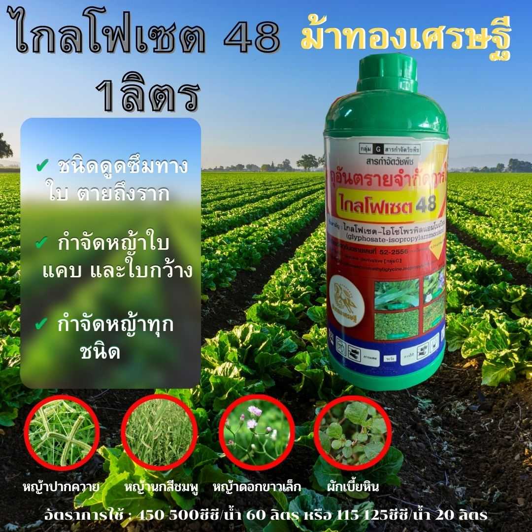 ไกลโฟเซต48 1ลิตร ตราม้าทองเศรษฐี กำจัดวัชพืช ชนิดดูดซึม ใช้หลังวัชพืชงอก ประเภทใบกว้างและแคบ