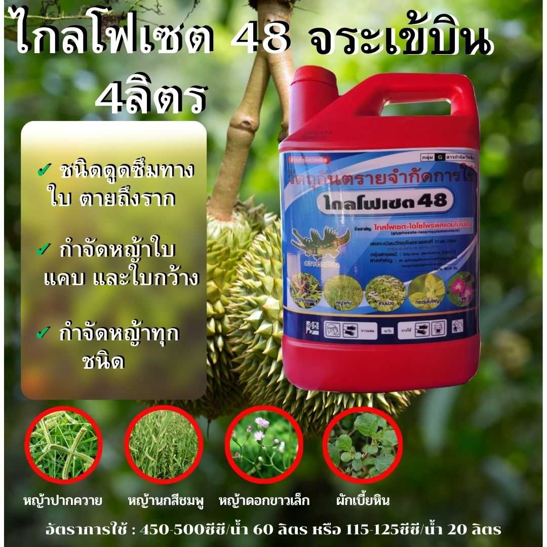 ไกลโฟ เซต48 ตราจระเข้บิน 4ลิตร สารกำจัดวัชพืช ชนิดดูดซึม