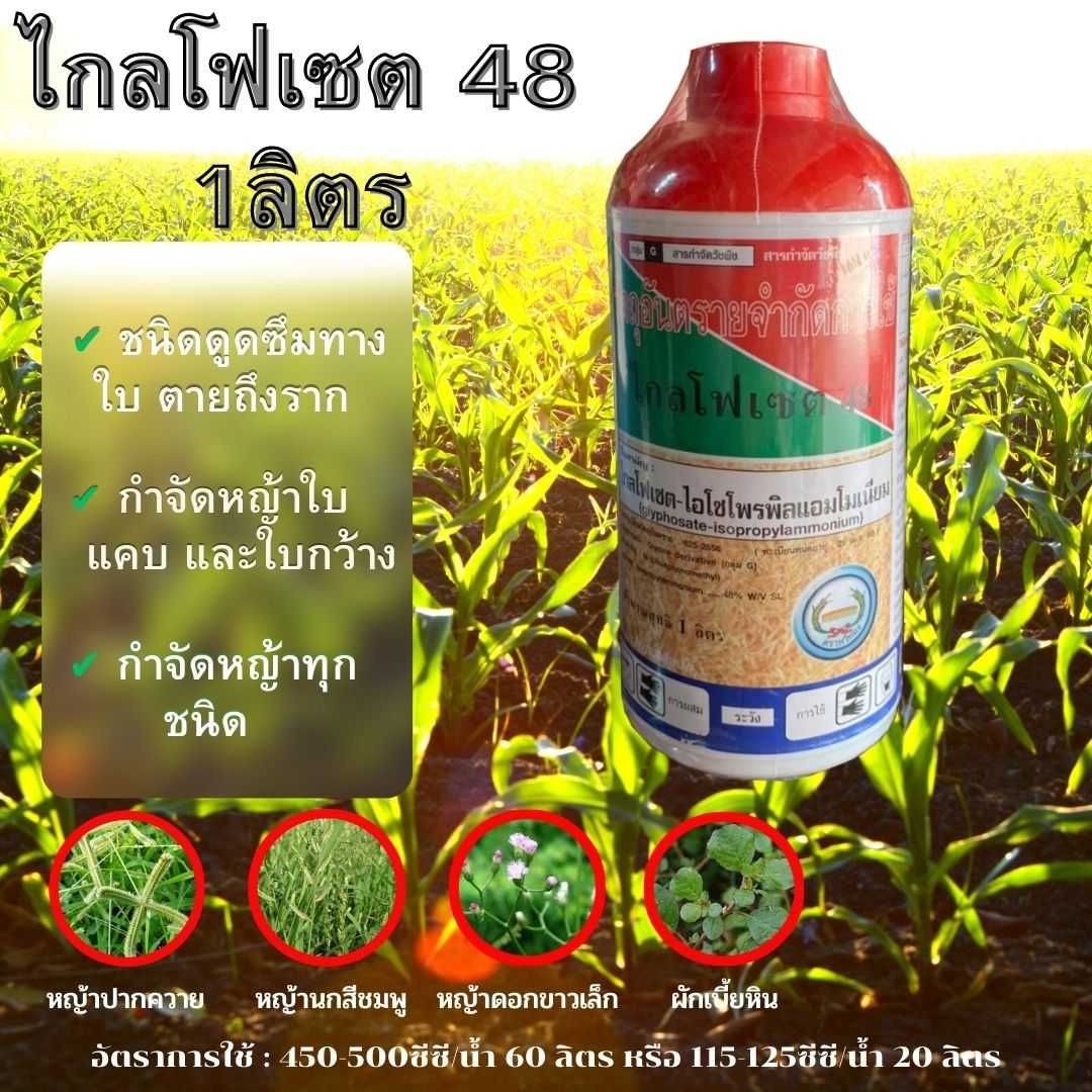ไกลโฟ เซต48 ขนาด 1 ลิตร ตราหวีทอง ยาดูดซึม ใช้กำจัดวัชพืช ใบแคบ ใบกว้าง