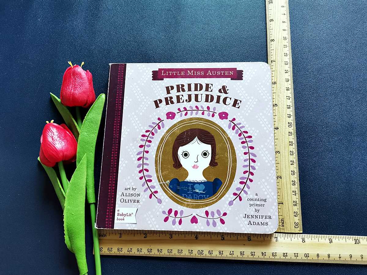 บอร์ดบุ๊คสอนนับเลข║Pride & Prejudice║ ★หนังสือมือสอง★ขนาดกลาง