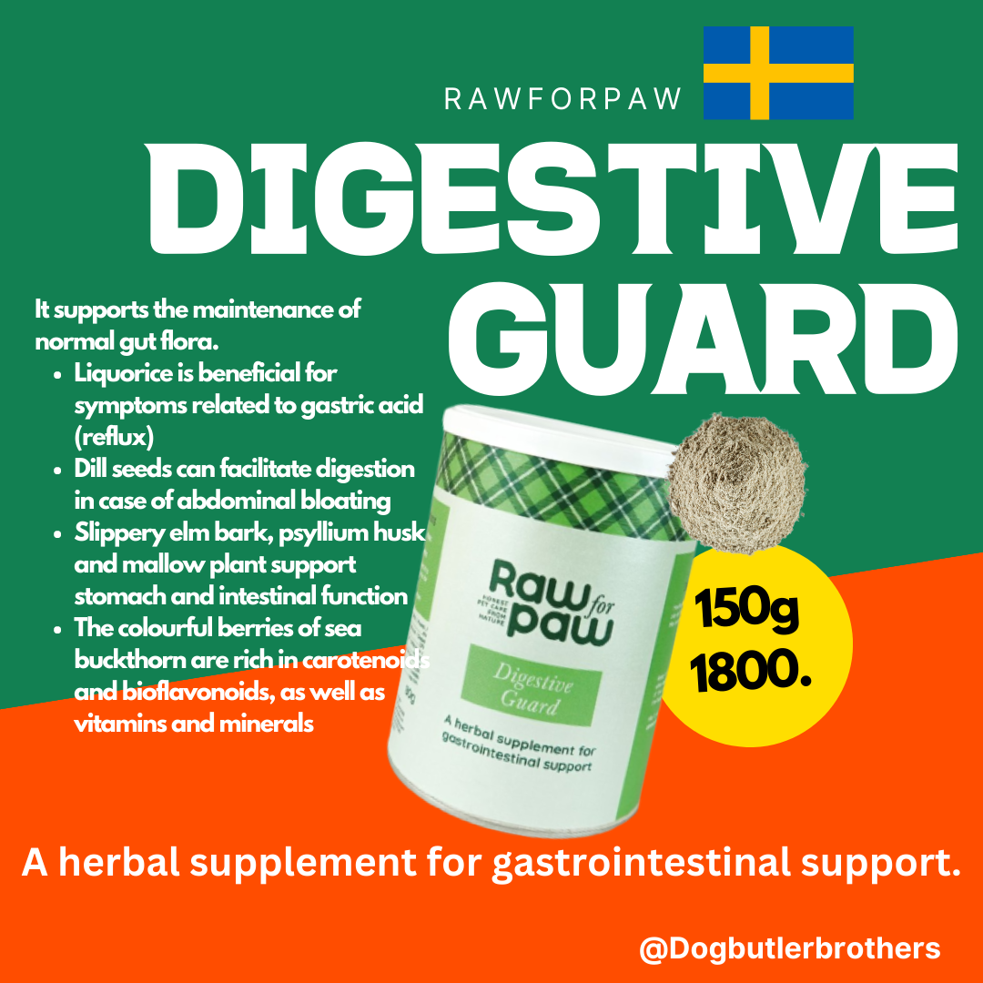 Digestive Guard