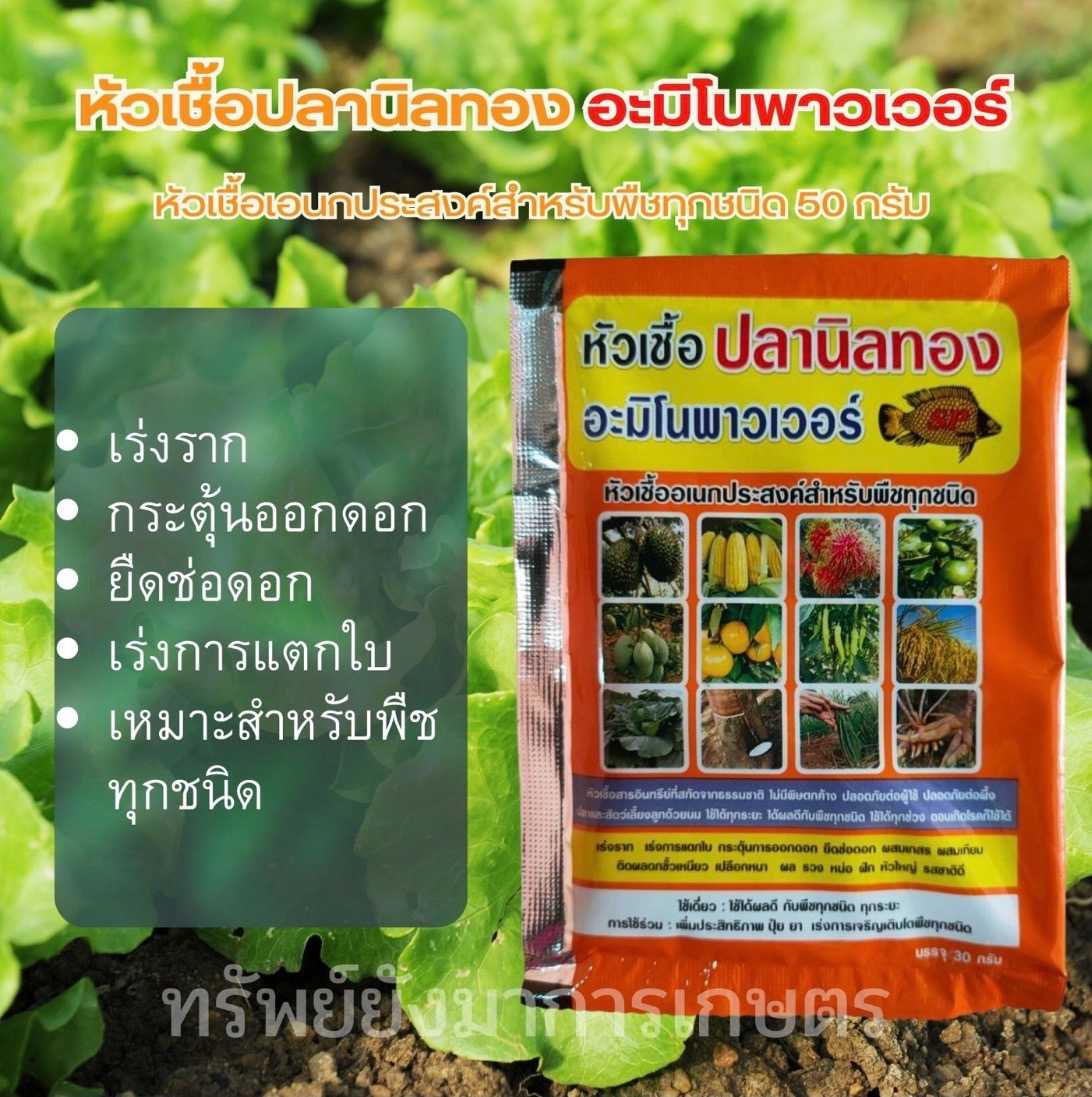 หัวเชื้อปลานิลทอง อะมิโนพาวเวอร์ ขนาด 30 กรัม เร่งราก ใบเขียวเข้ม สมบูรณ์แข็งแรง ใช้ได้กับพืชทุกชนิด