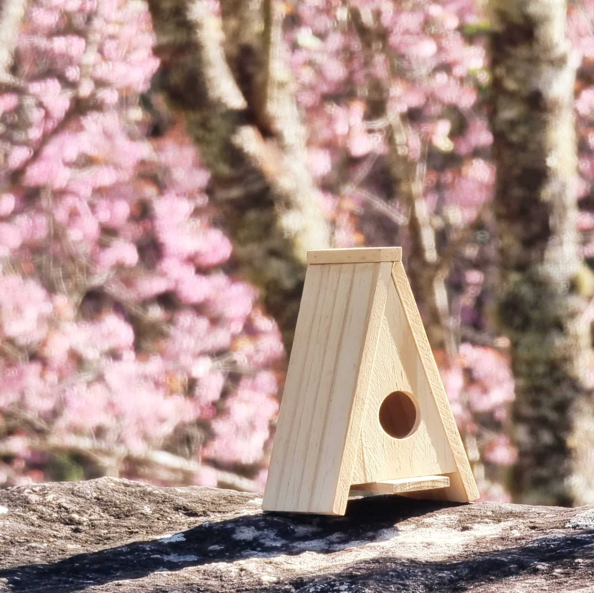Mini Bird House: บ้านนกไม้สนไซส์มินิ