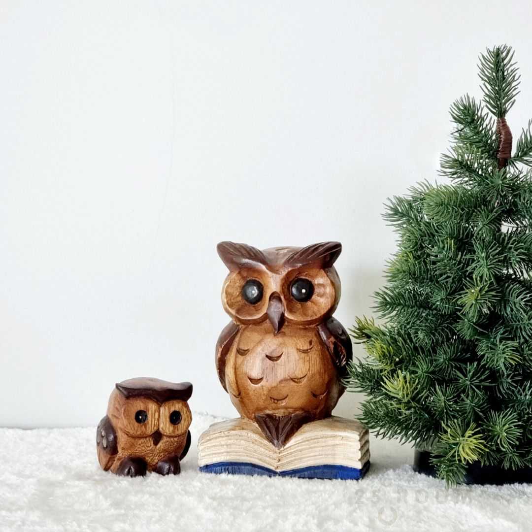 Wooden Owl Set: เซ็ตนกฮูกไม้บนหนังสือ