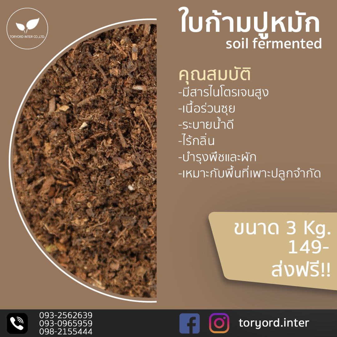 ใบก้ามปูหมัก